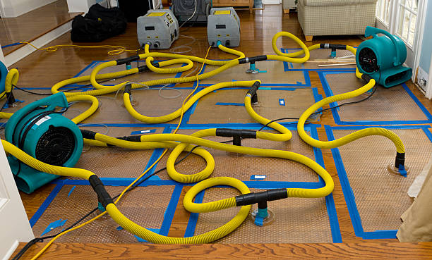 Professional Water Damage Repair technician working in Phillips, ME